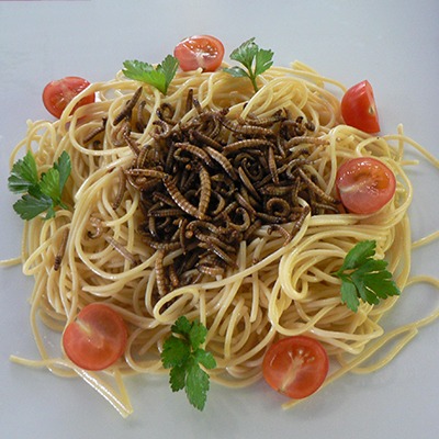 bugsed_mealworm-spaghetti
