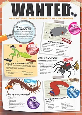 Bugs Ed Know your minibeasts poster